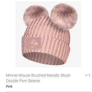 Brand new, Love Your Melon Disney beanie.